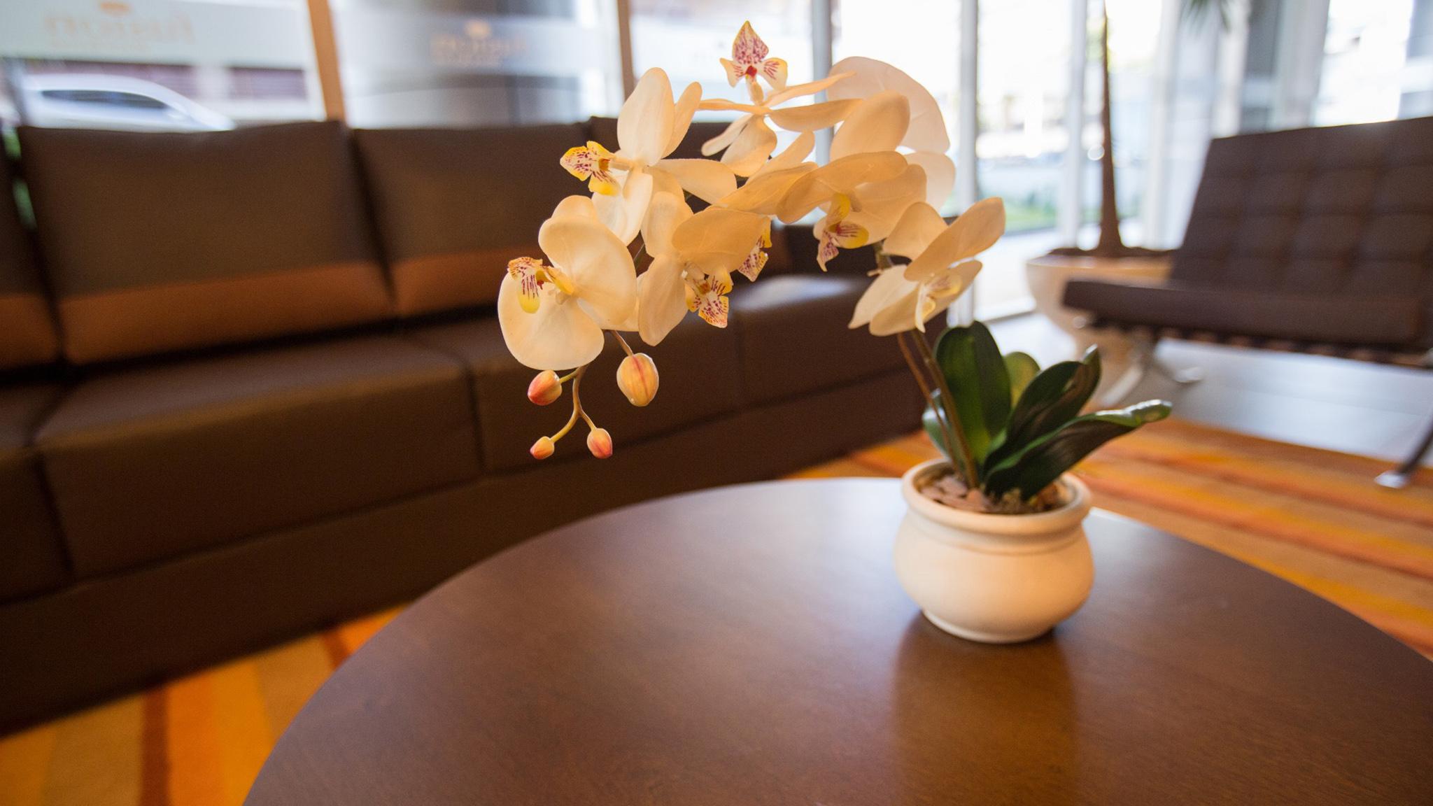 Hotel Hplus Vision Executive